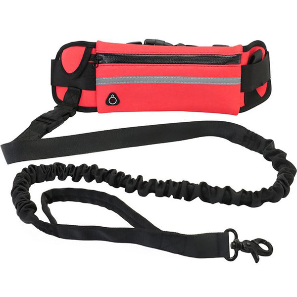Laisse Mains Libres Cani-Rando TrailPatte