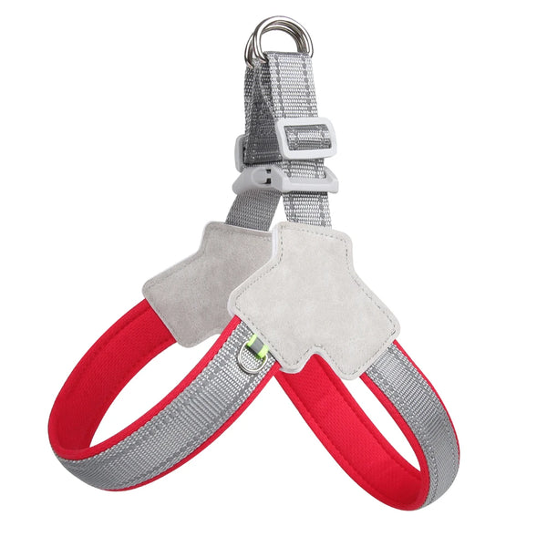 Harnais LUMO™ — Réfléchissant Anti-Traction Mesh pour Petits Et Moyens Chiens