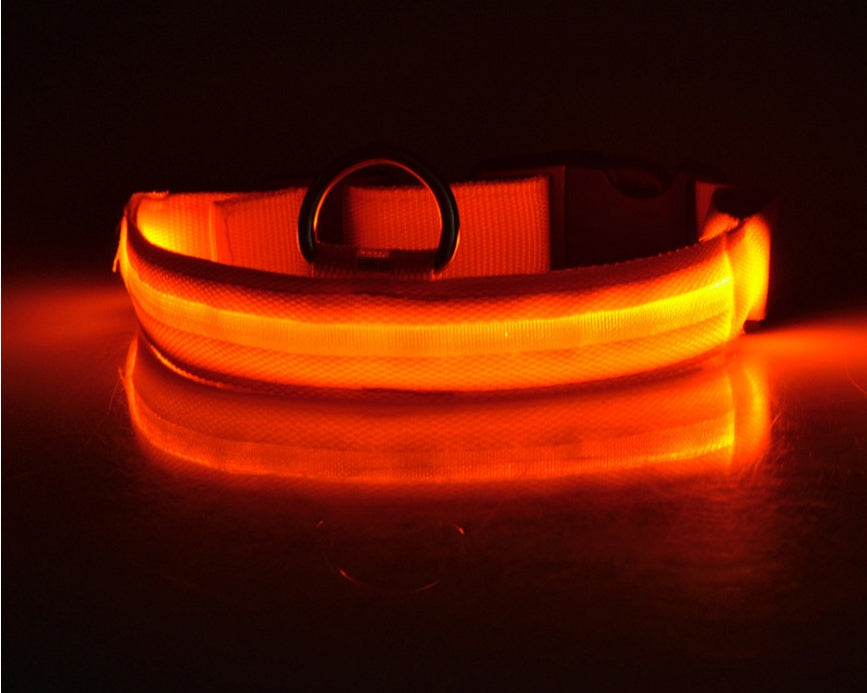 Collier LED Lumineux pour Chien & Chat