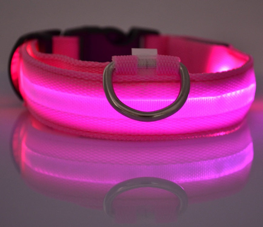 Collier LED Lumineux pour Chien & Chat