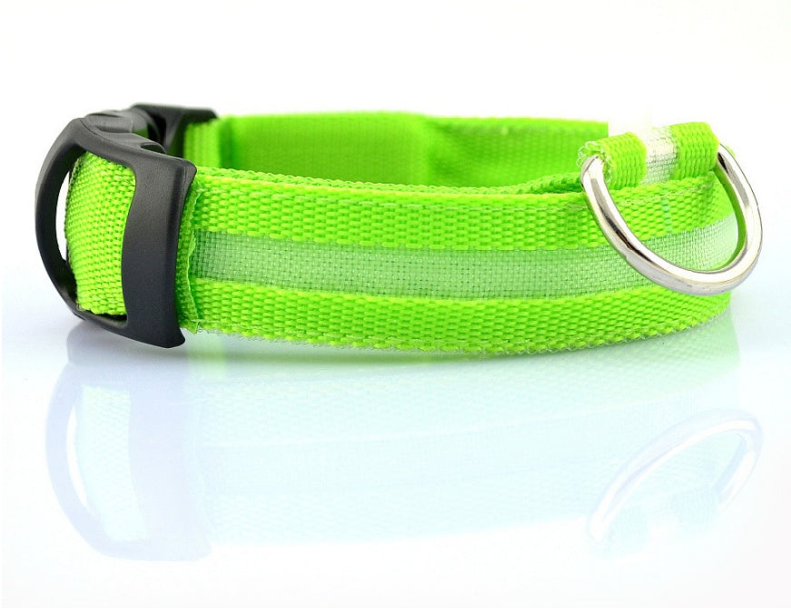 Collier LED Lumineux pour Chien & Chat
