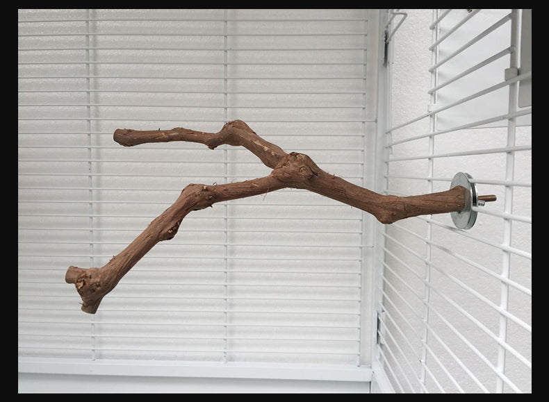 Perchoir Ajustable pour Cage Perroquet & Oiseaux