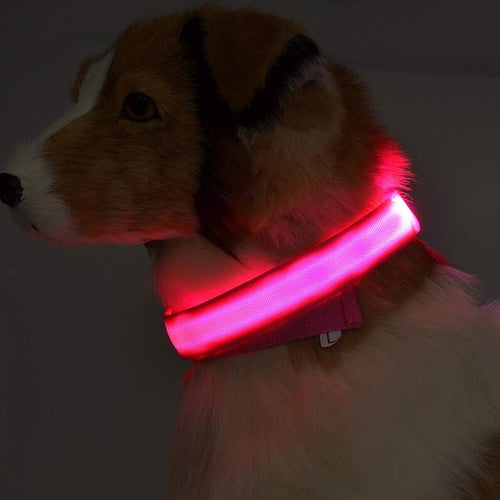 Collier LED Lumineux pour Chien & Chat