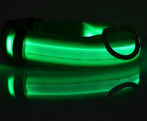 Collier TrailPatte LED 3 Modes