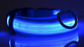Collier HALO™ LED - 3 Modes
