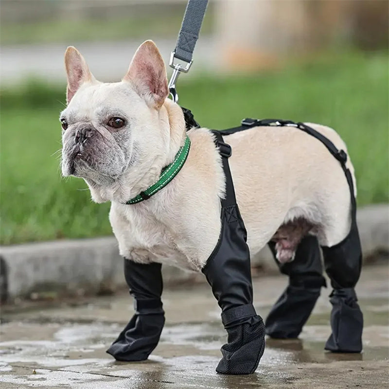 Chaussures Imperméables pour Chien - Coup de Patte