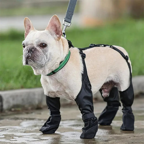 Chaussures Imperméables pour Chien - Coup de Patte