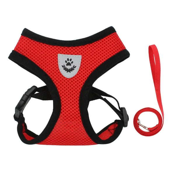 Harnais MINITRAILER™ Mesh Respirant + Laisse
