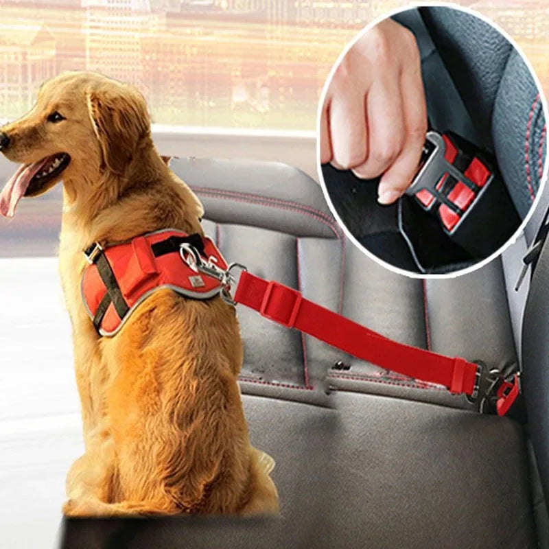 Ceinture de Sécurité ANCHOR™ Voiture pour Chien & Chat - Clip Réglable Anti-Traction